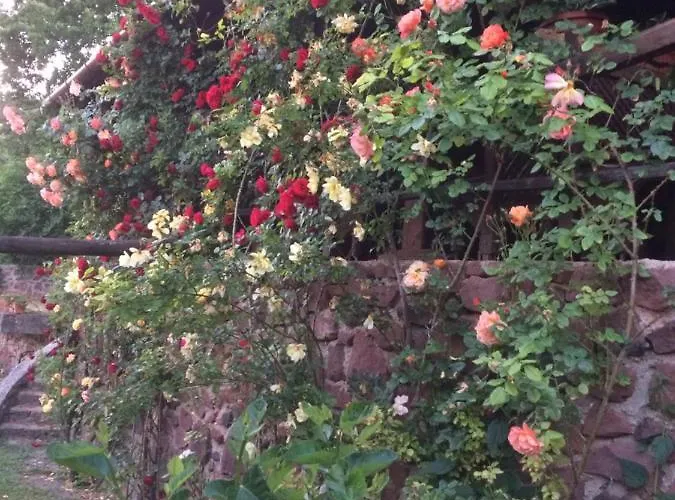 Prima Porta Vendeghaz